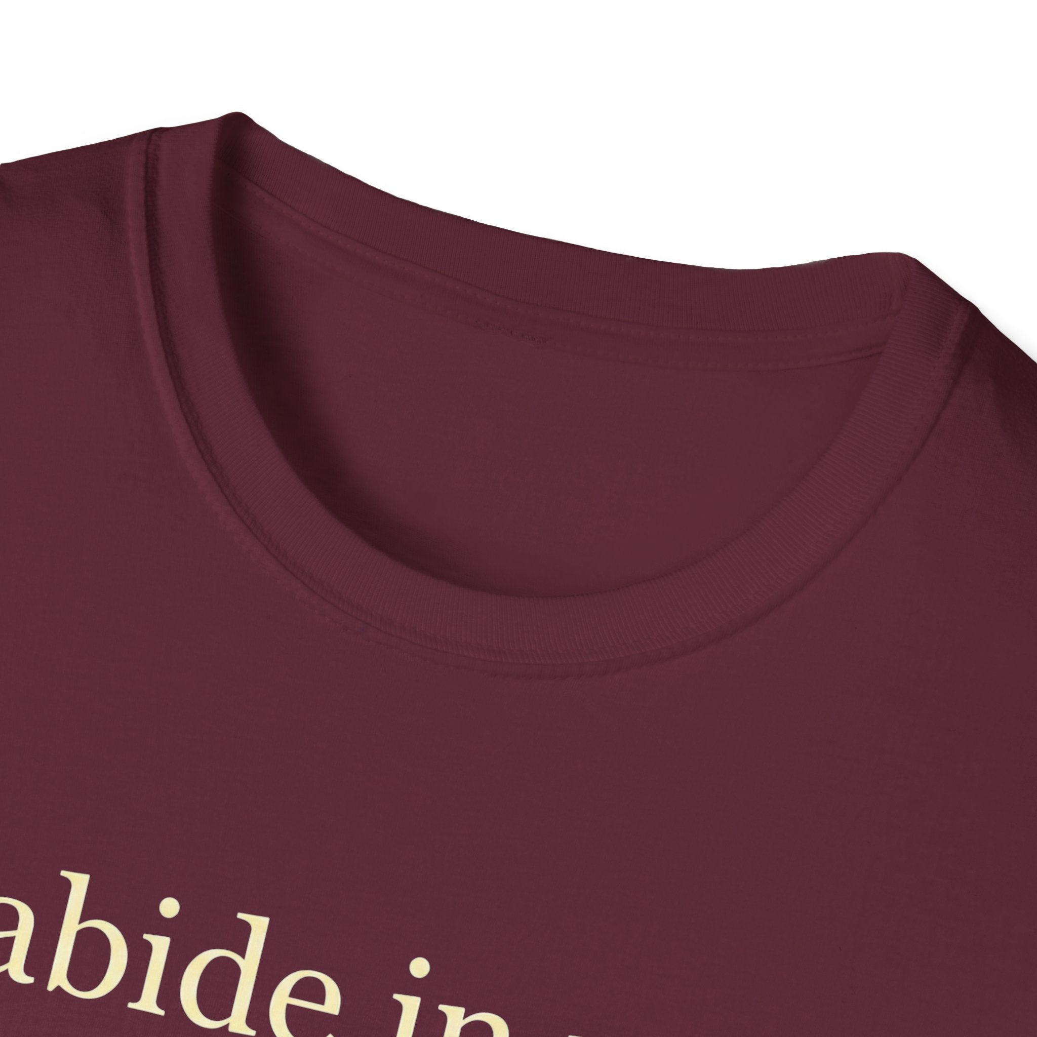 Abide In Me T-Shirt