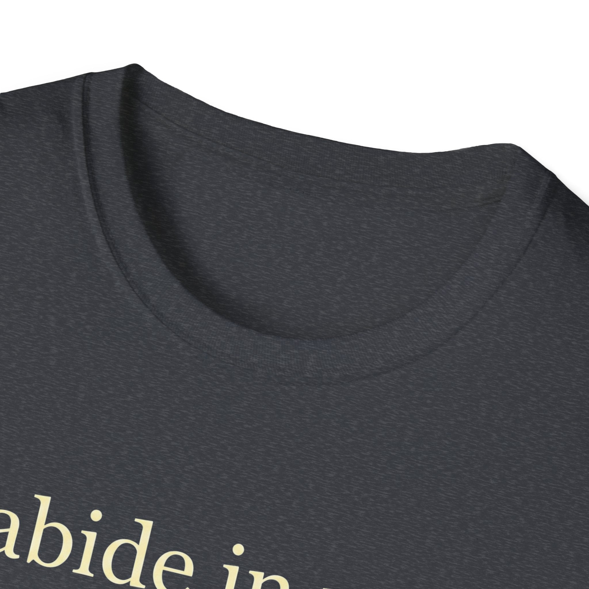Abide In Me T-Shirt