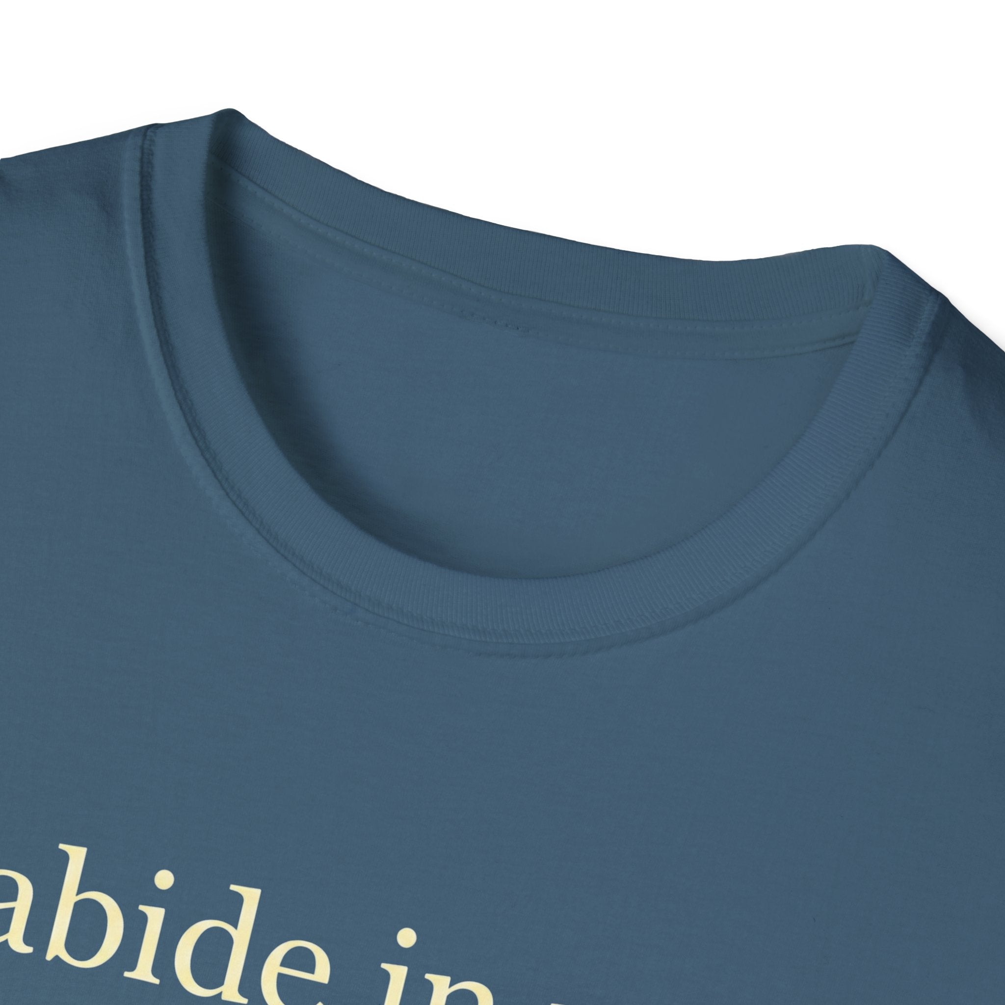 Abide In Me T-Shirt