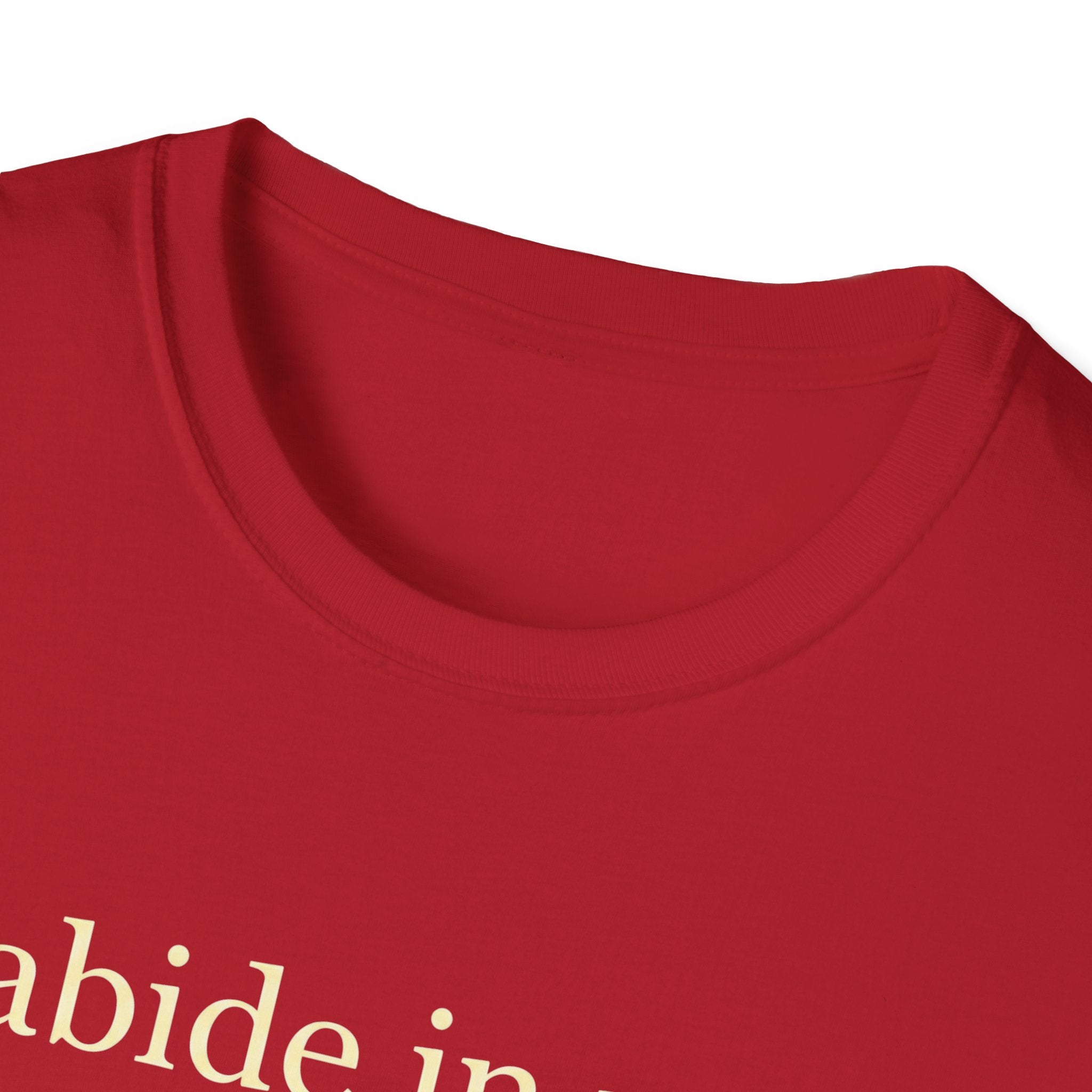 Abide In Me T-Shirt